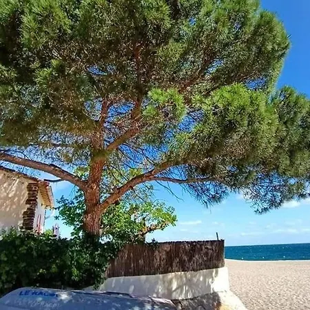 2 Pieces Avec Piscine, Parking Prive, A 400m De La - 4 Personnes - Fr-1-776-46 Apartment *